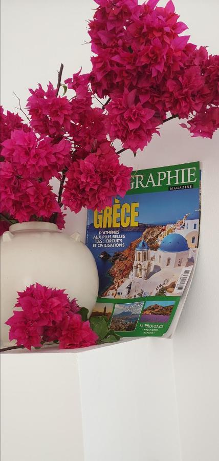 Philoxenia, Maison Et Table D'Hotes La Saline Le Bains Εξωτερικό φωτογραφία